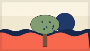 international day for biological diversity hero