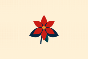 national poinsettia day december 12 celebration nation